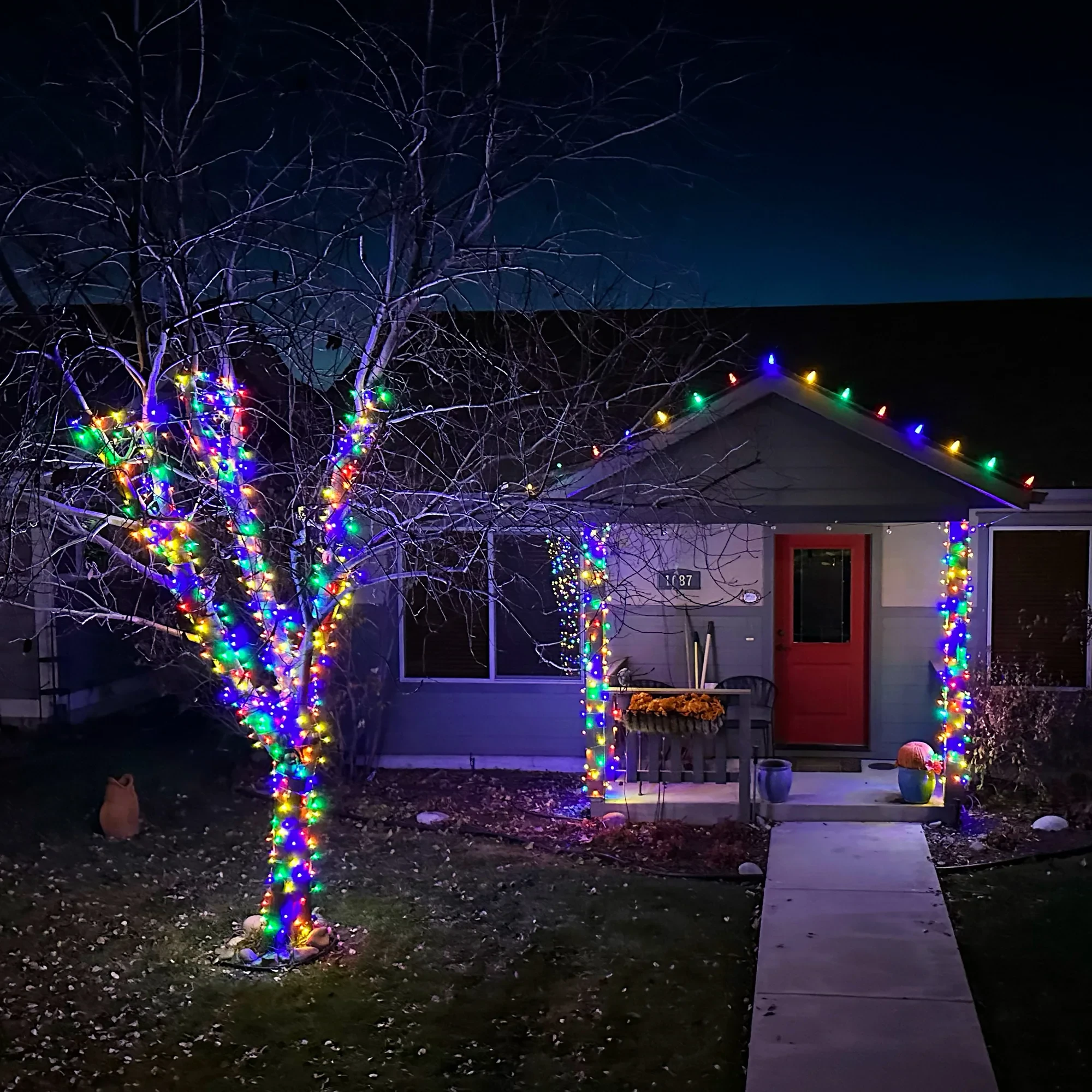 Bare tree wrapped trunk to branch tips in multicolor lights beside a home with a multicolor roofline.